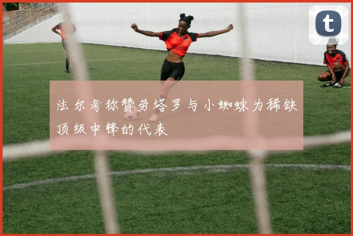 法尔考称赞劳塔罗与小蜘蛛为稀缺顶级中锋的代表