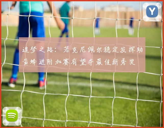 追梦之路：若克尼佩尔稳定发挥助黄蜂进附加赛有望夺最佳新秀奖