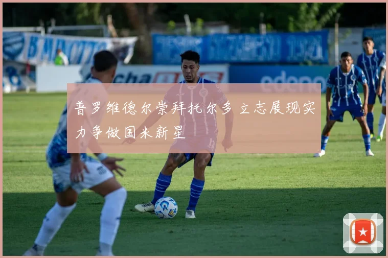 普罗维德尔崇拜托尔多立志展现实力争做国米新星